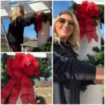 We Hang Christmas Lights